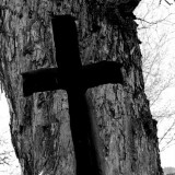 Picture of a Unique Cross Carved in a Tree
